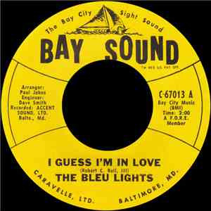 The Bleu Lights - I Guess I'm In Love download flac mp3