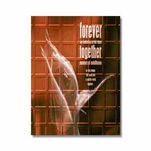 Various - Members Of AmbiOfusion - Forever Together download flac mp3
