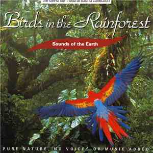 David Sun  - Birds In The Rainforest download flac mp3