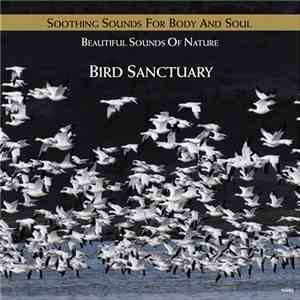 No Artist - Soothing Sounds For Body And Soul: Bird Sanctuary download flac mp3