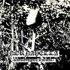 Nornahetta - Saprophyte Ritual download flac mp3