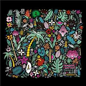 Tambour Battant - Dance All Night download flac mp3