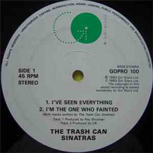 The Trash Can Sinatras - I've Seen Everything download flac mp3