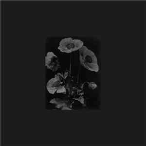 Hey Exit - Else 2 download flac mp3