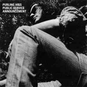 Purling Hiss - Public Service Announcement download flac mp3