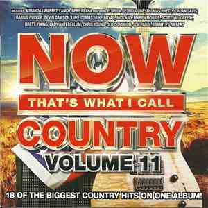 Various - Now That's What I Call Country Volume 11 download flac mp3