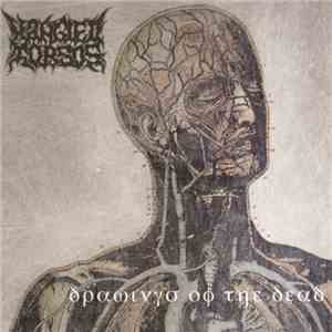 Mangled Torsos - Drawings Of The Dead flac mp3 download