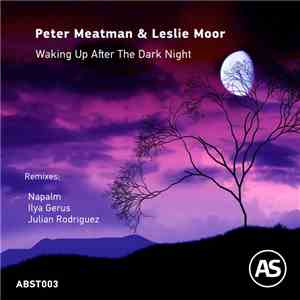 Peter Meatman & Leslie Moor - Waking Up After The Dark Night download flac mp3