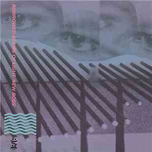 Borrowed Beams Of Light - Borrowed Beams Of Light/New Boss download flac mp3