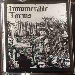 Innumerable Forms - Petrified/Joyless download flac mp3
