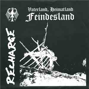 Recharge / Extinct Government - Vaterland, Heimatland, Feindesland / Extinct Government download flac mp3