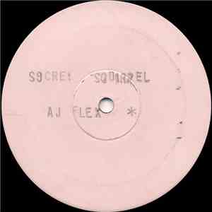 Secret Squirrel & A.J. Flex - Come Rudebwoy download flac mp3