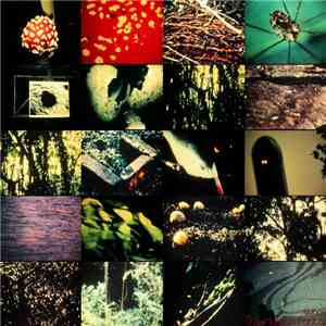 Swoon  - The Human Factor download flac mp3