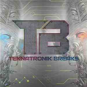 Teknatronik - Hurt You download flac mp3