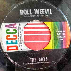 The Gays  - Boll Weevil download flac mp3
