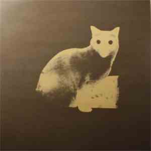 It's Not Not - Bound For The Shine download flac mp3