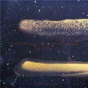 Ryan Oldham  - R. Andrew Lee - Inner Monologues (Venn Diagram Of Six Pitches) download flac mp3