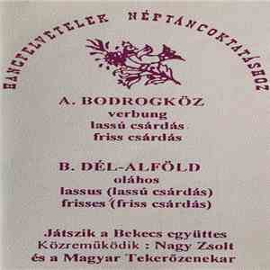 Bekecs Együttes, Nagy Zsolt, Magyar Tekerőzenekar - Bodrogköz / Dél-Alföld download flac mp3