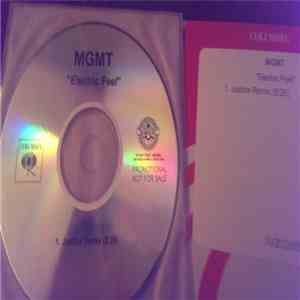 MGMT - Electric Feel download flac mp3