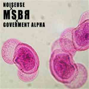 Noiseuse x MSBR x Government Alpha - Untitled download flac mp3