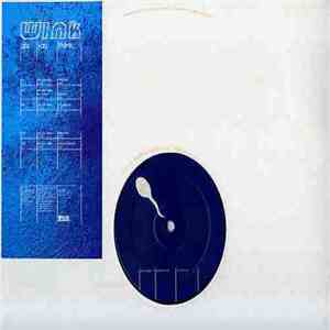 Wink - Are You There... download flac mp3