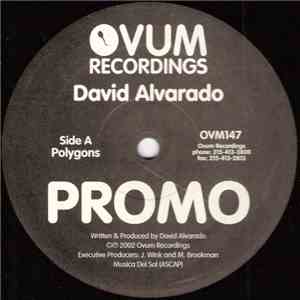 David Alvarado - Polygons download flac mp3