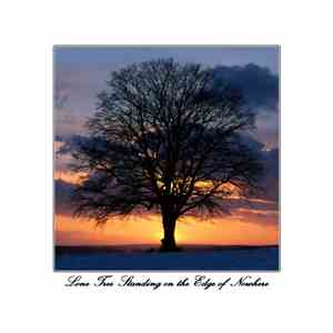 WMRI - Lone Tree Standing On The Edge Of Nowhere download flac mp3