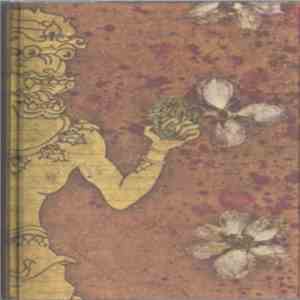 Tashi Dorji - Guitar Improvisations download flac mp3