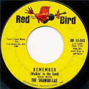 The Shangri-Las - Remember (Walkin' In The Sand) download flac mp3