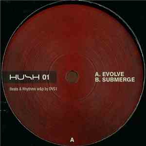 DVS1 - Evolve / Submerge flac mp3 download