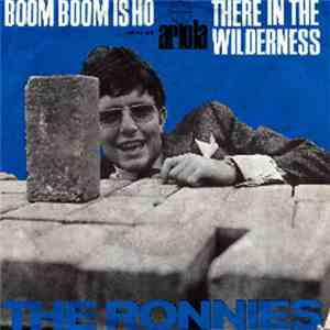 The Ronnies - Boom Boom Is Ho download flac mp3