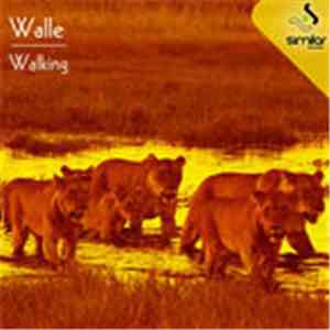 Walle  - Walking download flac mp3