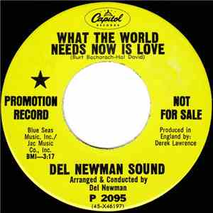 Del Newman Sound - What The World Needs Now Is Love download flac mp3