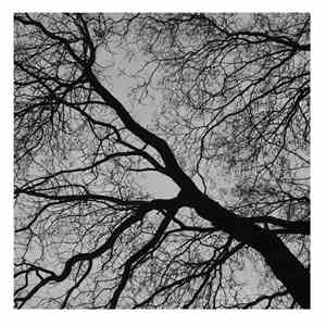 Galactic Jackson, David Harleydson - 01 EP download flac mp3