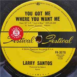 Larry Santos - You Got Me Where You Want Me download flac mp3