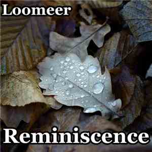 Loomeer - Ambient Reminiscence Of 2011 download flac mp3