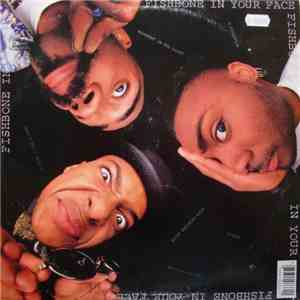 Fishbone - In Your Face download flac mp3