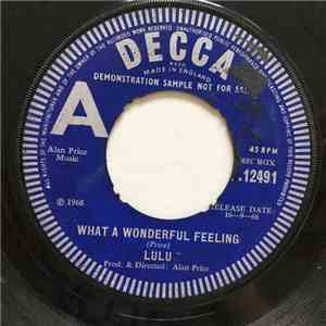 Lulu - What A Wonderful Feeling download flac mp3
