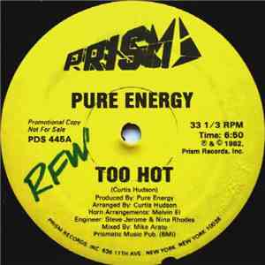 Pure Energy - Too Hot download flac mp3