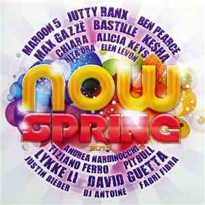 Various - Now Spring 2013 download flac mp3