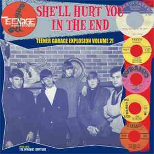 Various - She'll Hurt You In The End (Teener Garage Explosion Volume 2!) download flac mp3