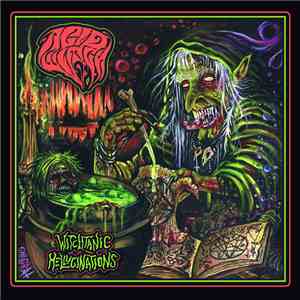 Acid Witch - Witchtanic Hellucinations download flac mp3