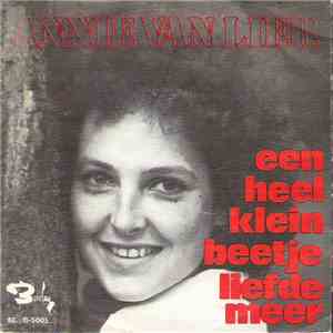 Annie Van Lier - Een Heel Klein Beetje Liefde Meer download flac mp3