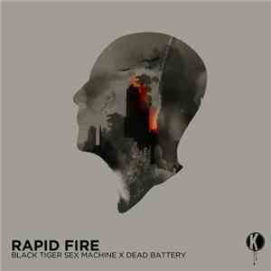 Black Tiger Sex Machine X Dead Battery - Rapid Fire download flac mp3