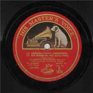 Elisabeth Schumann - Schneeglöckchen / Der Nussbaum / Er Ist's / Aufträge download flac mp3