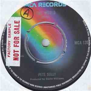 Pete Sully - The World download flac mp3