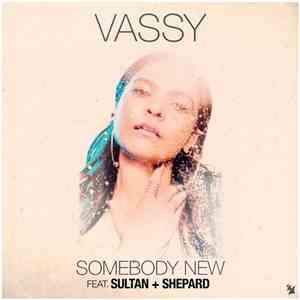 Vassy Feat. Sultan + Shepard - Somebody New download flac mp3