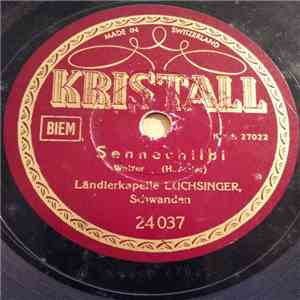 Ländlerkapelle Luchsinger - Sennechilbi / Am Schönen Türlersee download flac mp3