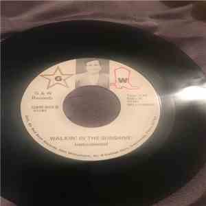 Marty VanWart ,Marty VanWart Stan Williamson - Walkin In The Sunshine, Music By Stan Williamson download flac mp3