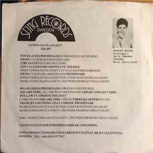 Robert Björk  - Gonna Have A Party download flac mp3